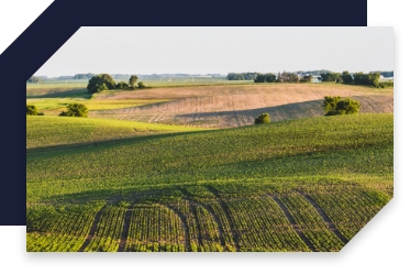 Commercial Land expertise
